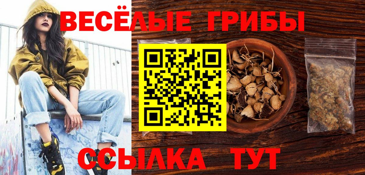 Сатка  Псилоцибиновые грибы Psilocybe  Вход с VPN 