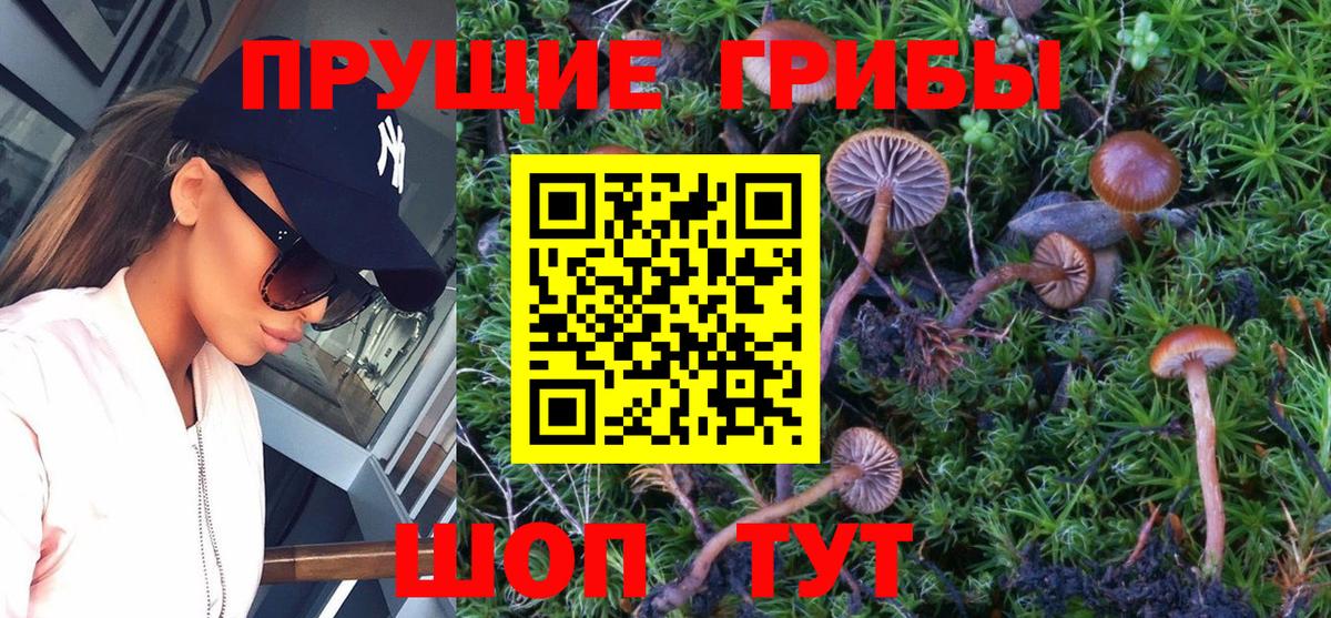 Галлюциногенные грибы GOLDEN TEACHER Сатка
